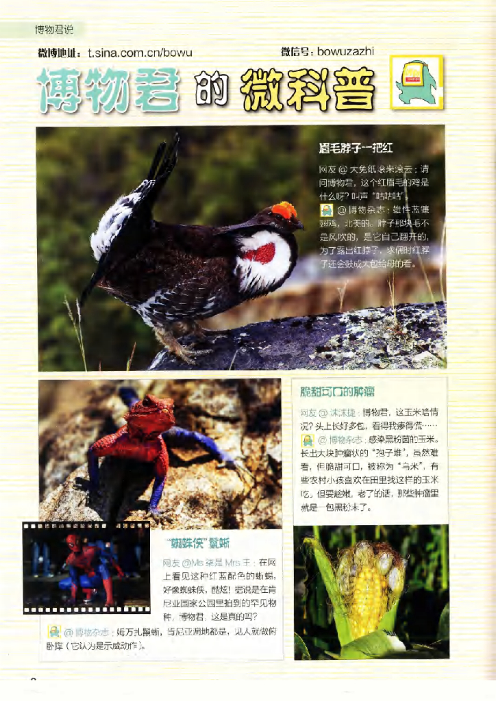 博物-2019-11_第10页