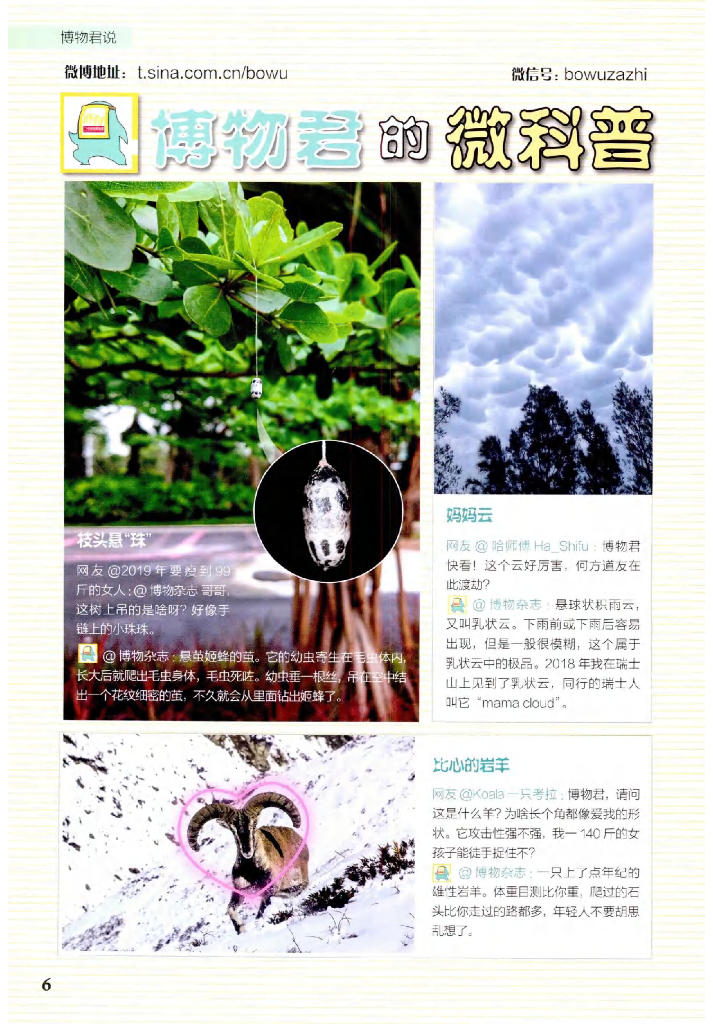 博物-2020-08_第8页