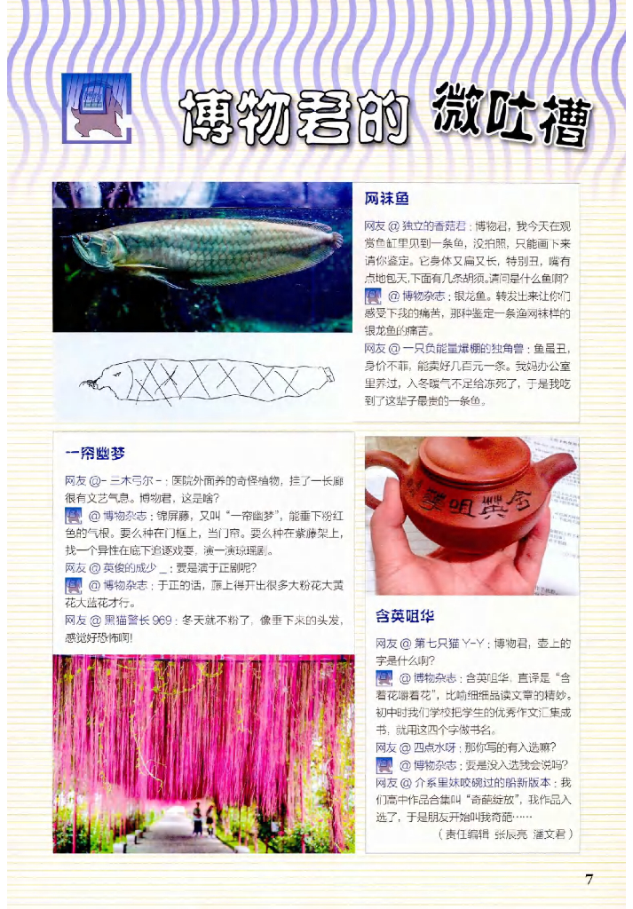 博物-2020-08_第9页