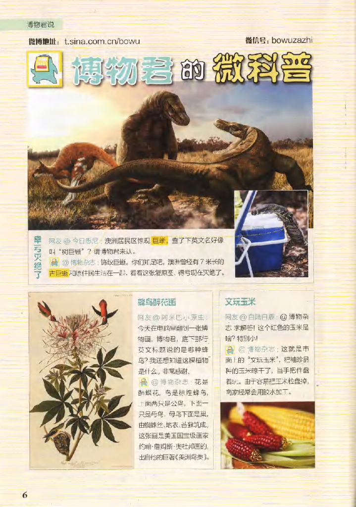 博物-2020-10_第8页