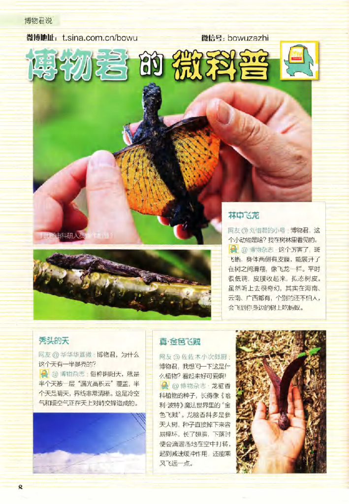 博物-2019-06_第10页