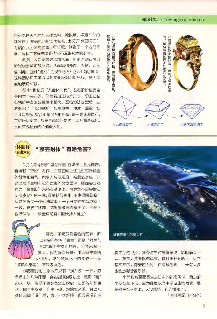 博物-2019-10_第9页