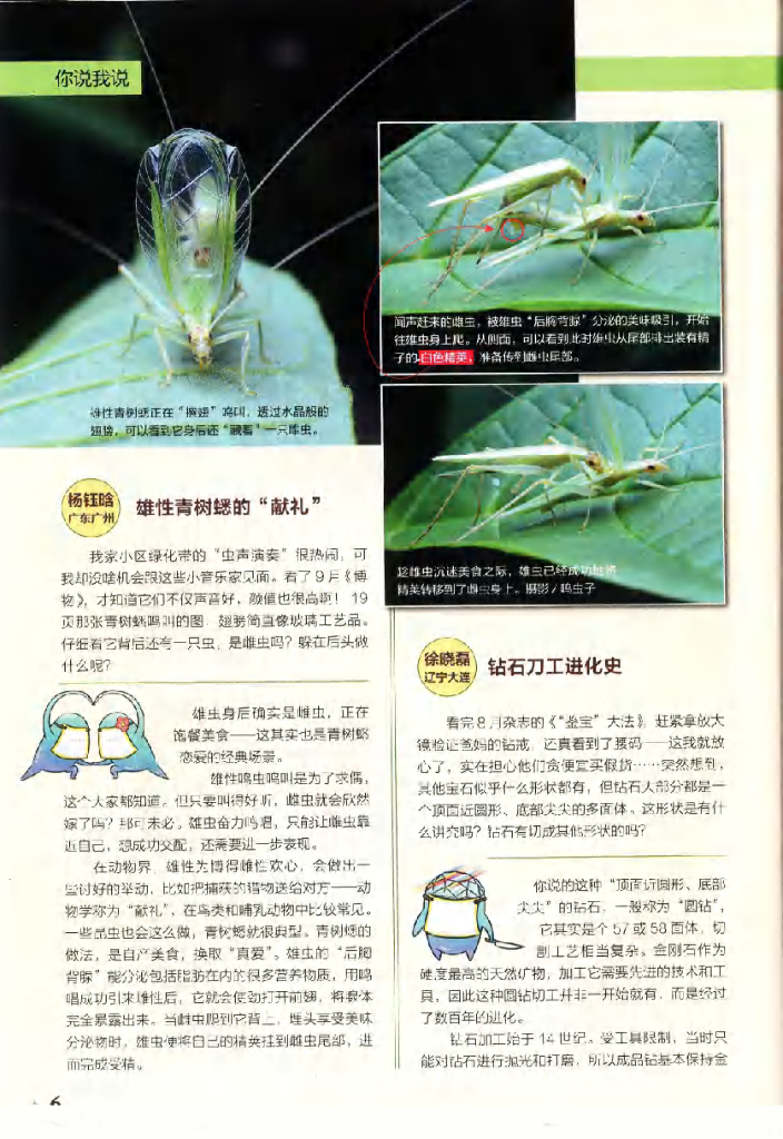 博物-2019-10_第8页