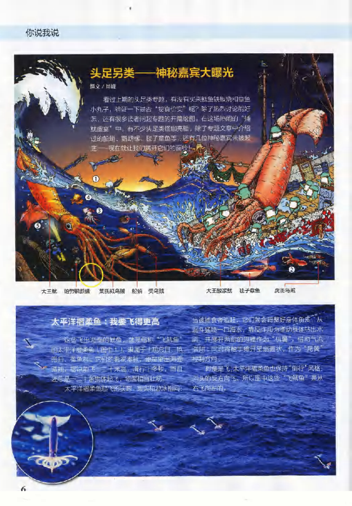 博物-2019-05_第8页