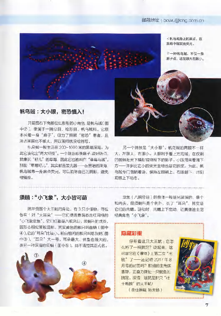 博物-2019-05_第9页