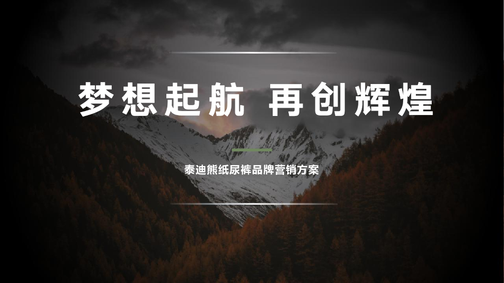 泰迪熊纸尿裤品牌营销方案