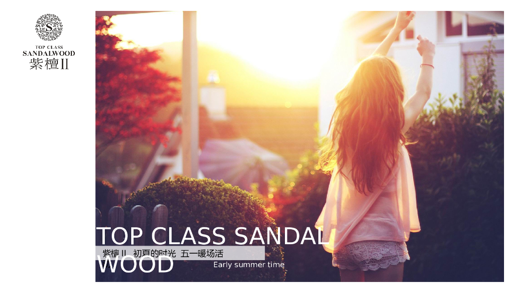 紫檀II初夏的时光五一暖场活动方案