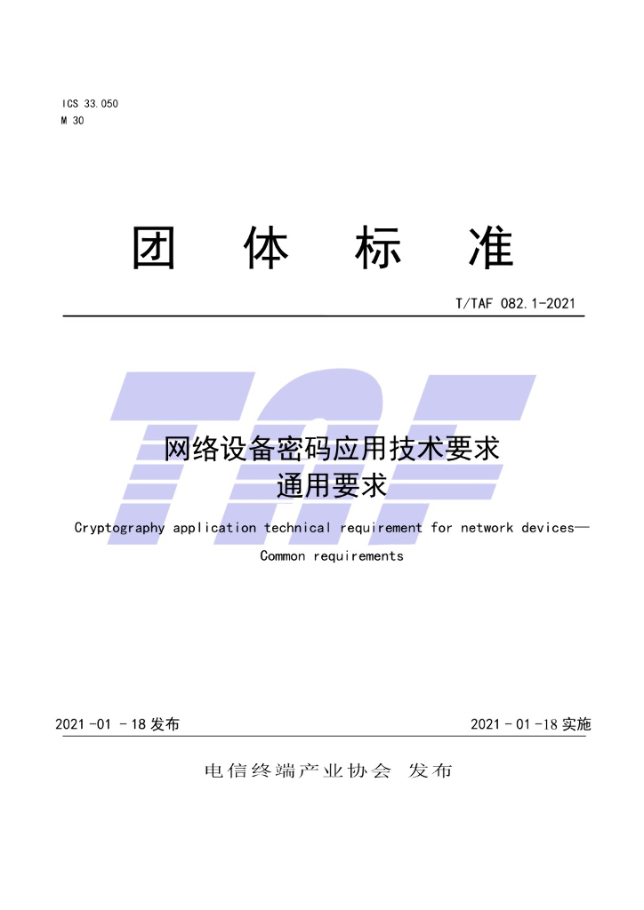 T/TAF 082.1-2021 标准预览