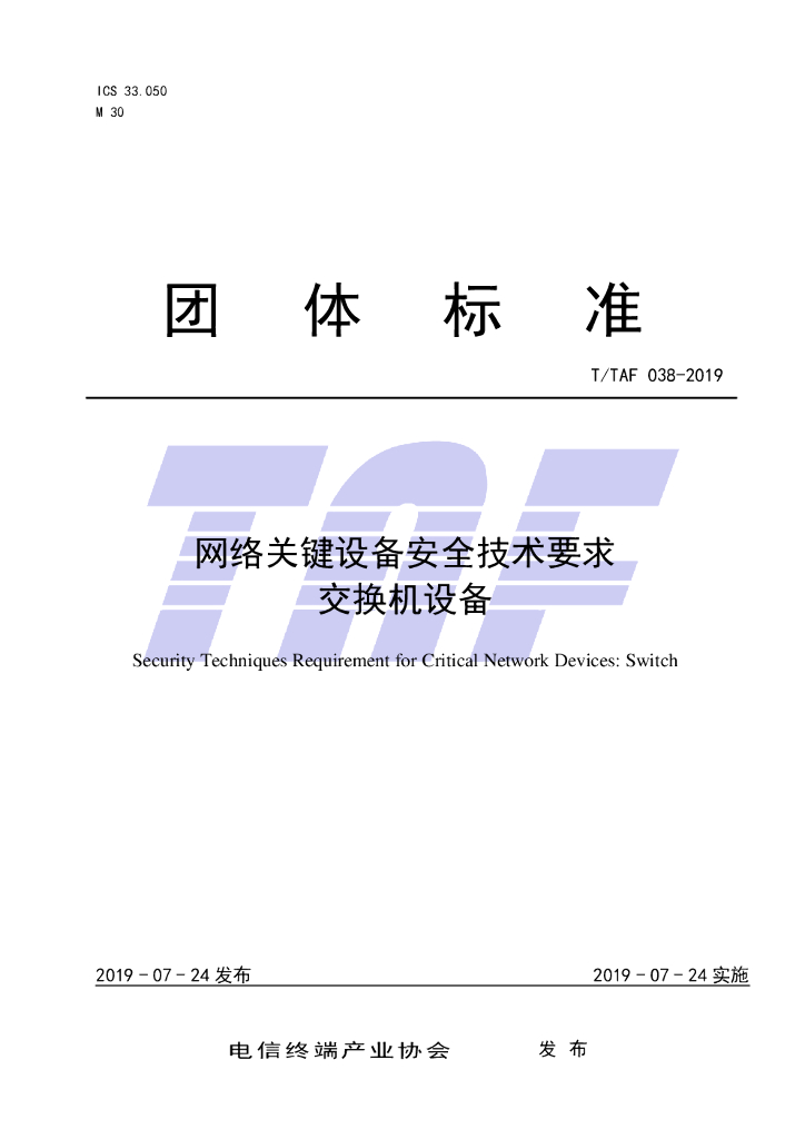 T/TAF 038-2019 标准预览