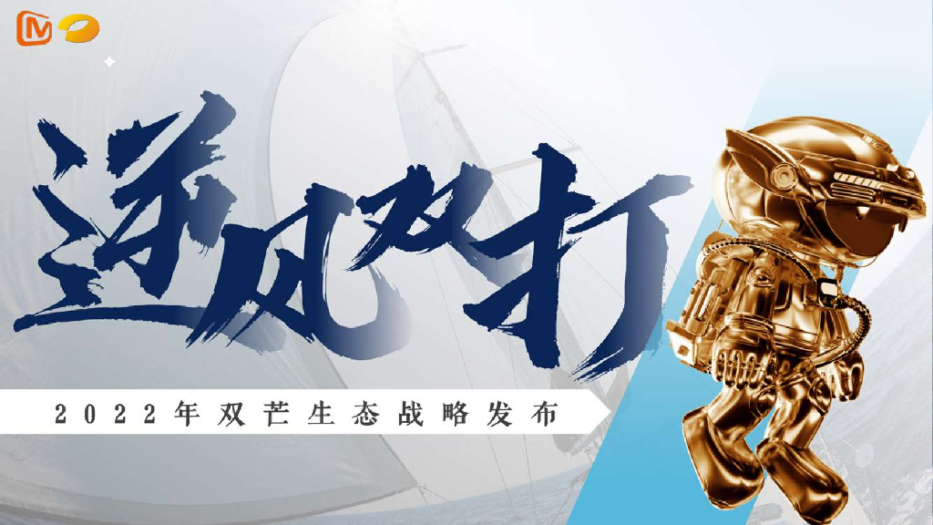 逆风双打——2022年双芒生态战略