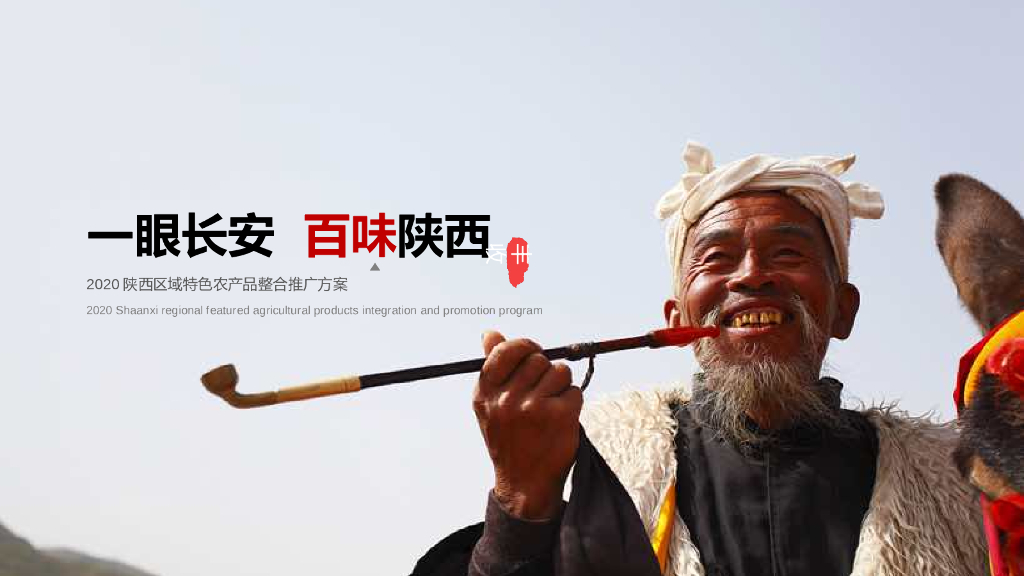 陕西区域特色农产品“一眼长安  百味陕西”整合推广方案