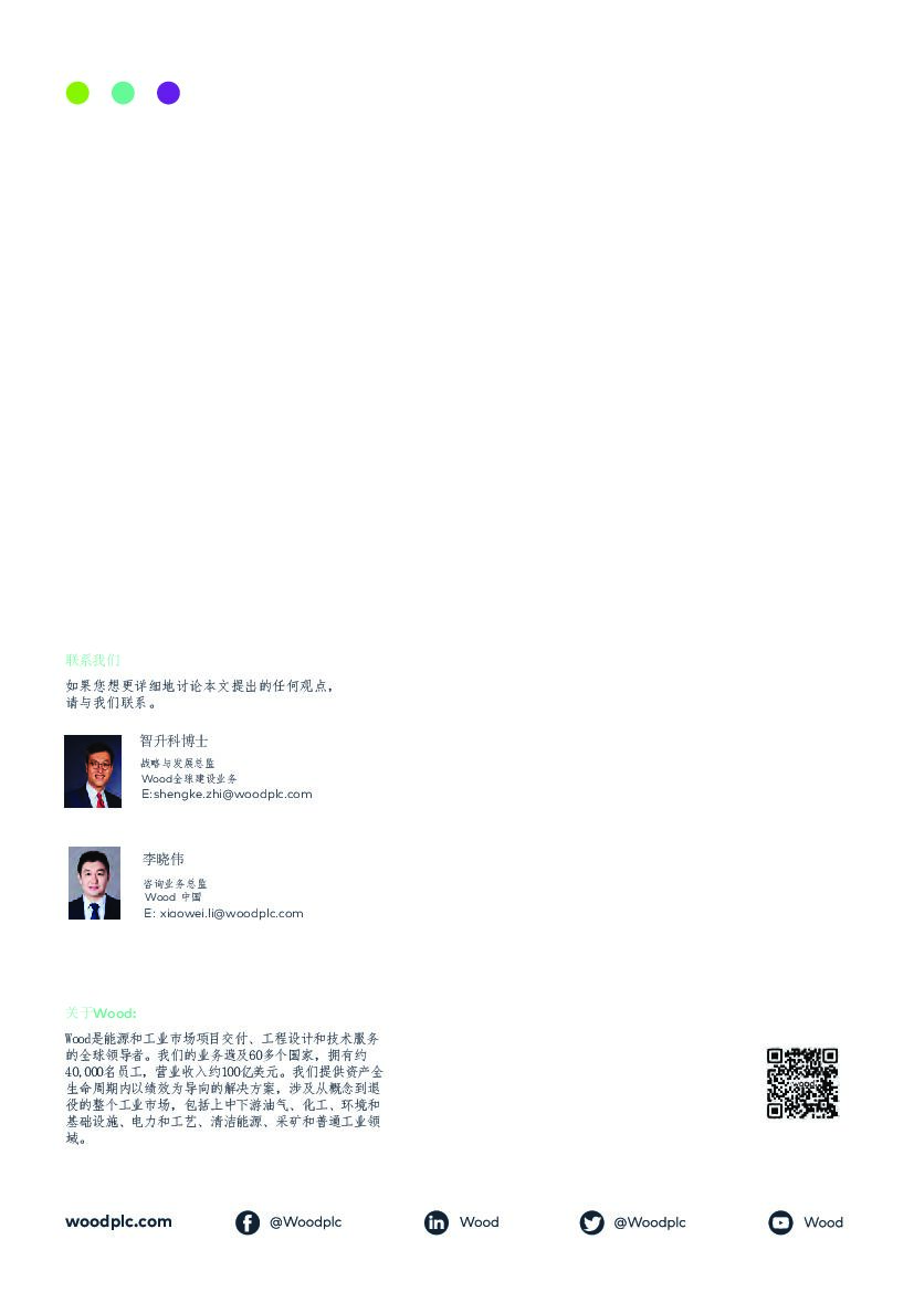 Wood观点：氢能：碳中和目标正在改变中国氢能产业中长期发展_第6页