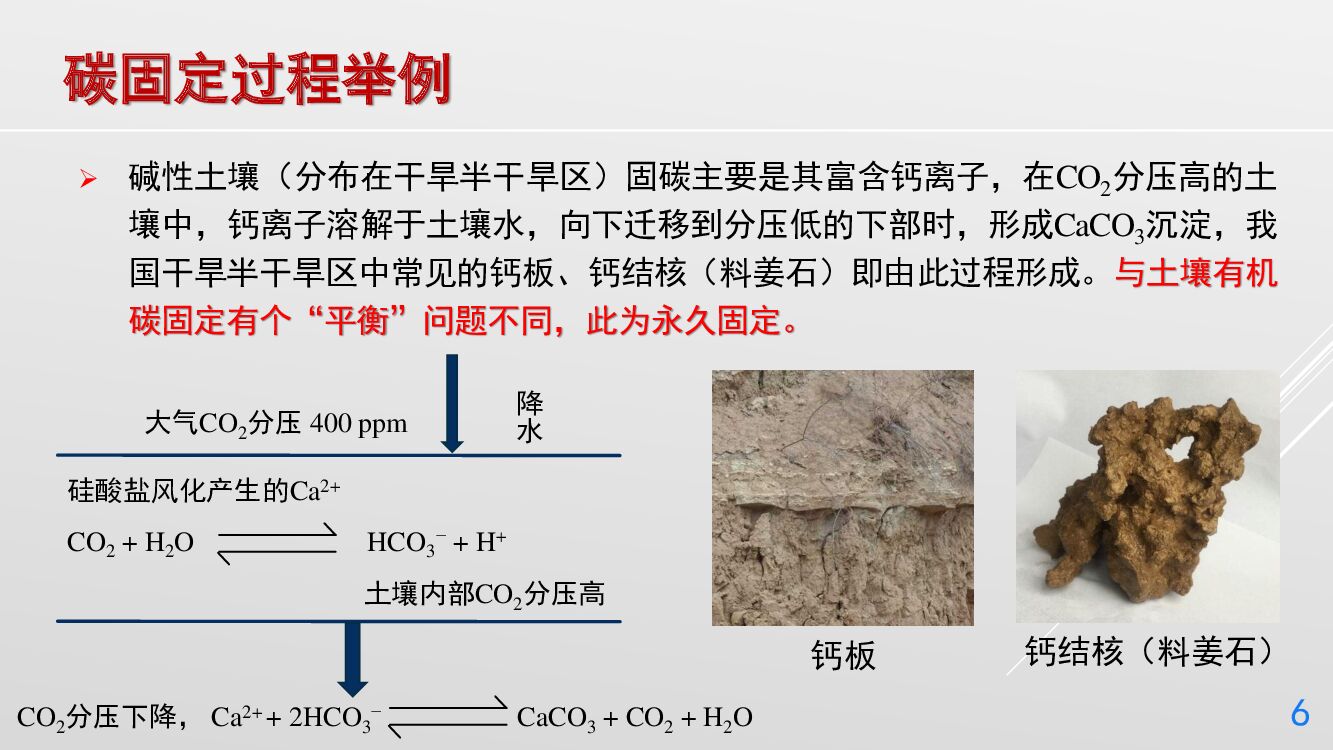 丁仲礼：中国碳中和框架路线图研究_第6页