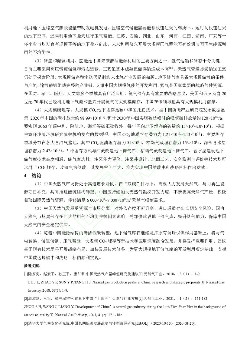 中国石油：碳中和战略下的中国地下储气库发展前景_第9页