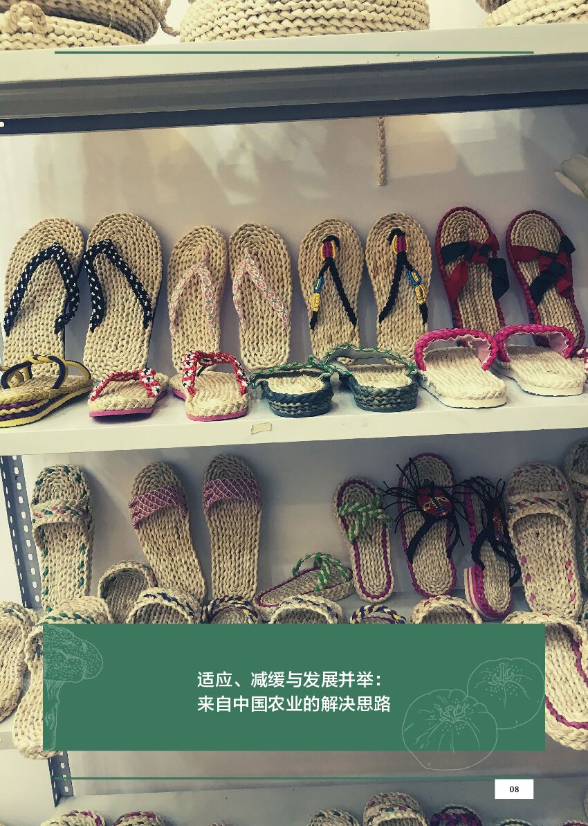 碳中和进程中的民间故事-云南故事_第9页