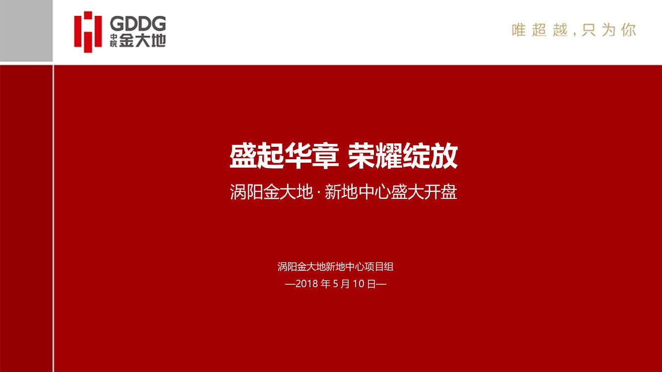 涡阳金大地·新地中心盛大开盘方案