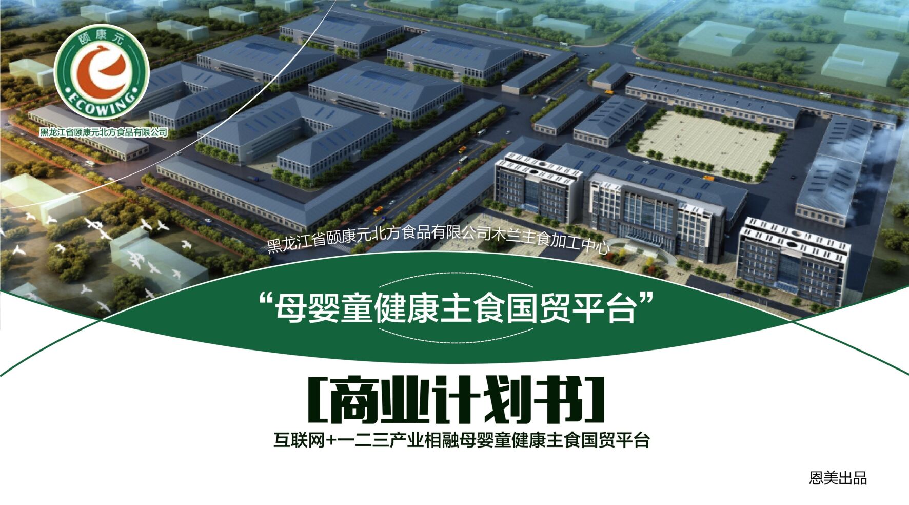 ”颐康元”互联网+一二三产业相融母婴童健康主食国贸平台商业计划书