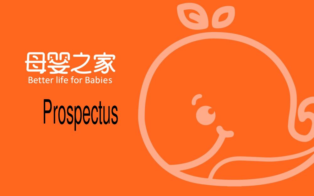 ”母婴之家”全球母婴精品商城招股商业计划书