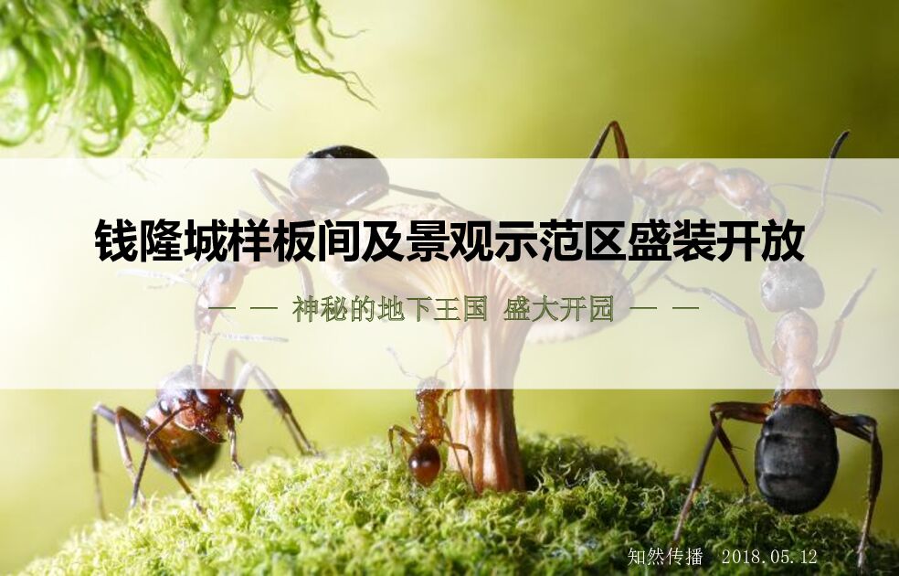 钱隆城样板间开放景观示范区开放活动方案（智然）