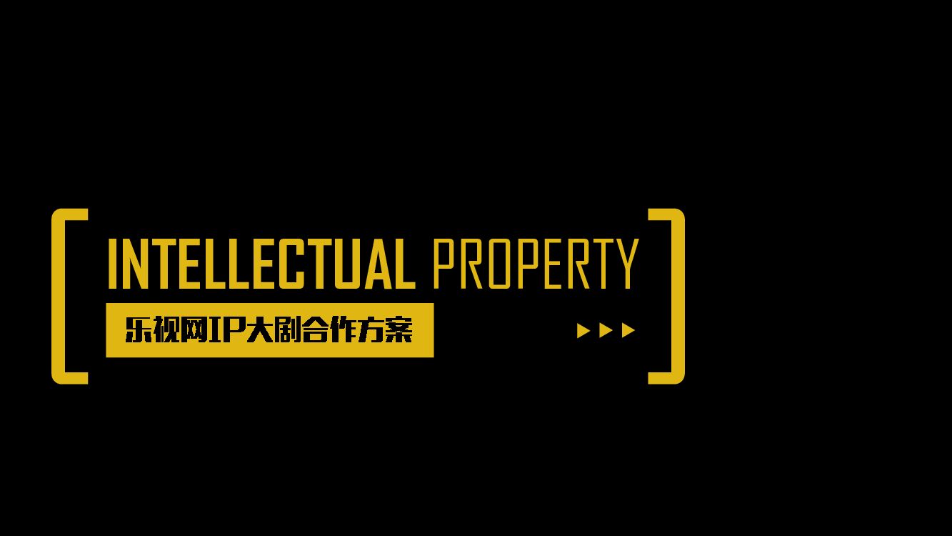 乐视网IP大剧项目合作方案（最经典）