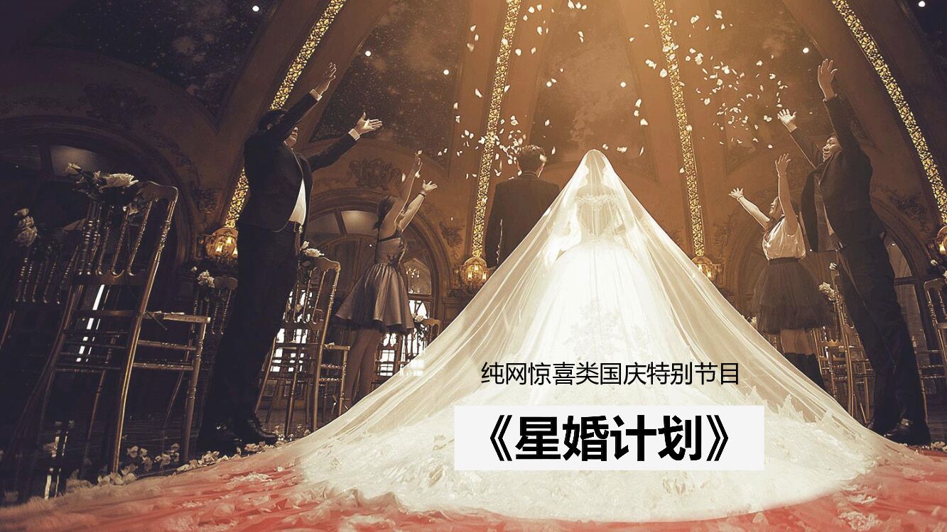 优酷土豆《星婚计划》综艺节目策划方案