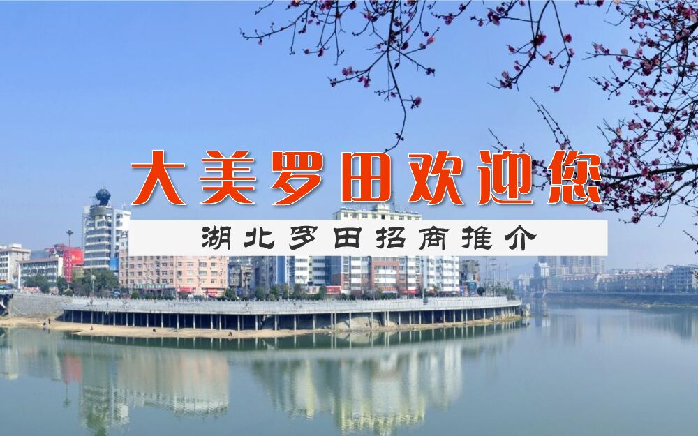 湖北罗田-招商推介