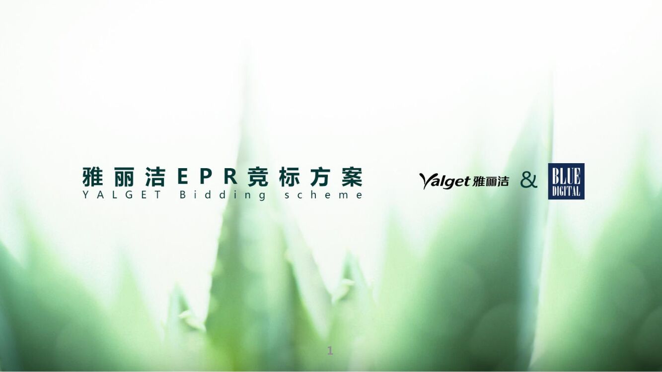 雅丽洁EPR传播项目创意规划方案