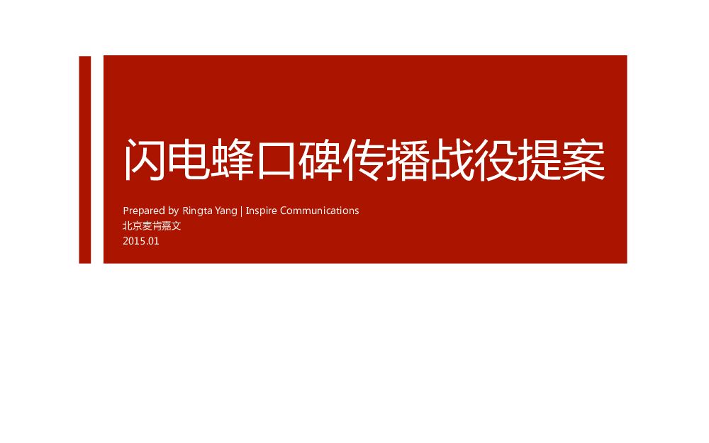 北京麦肯嘉文：闪电蜂口碑传播战役提案