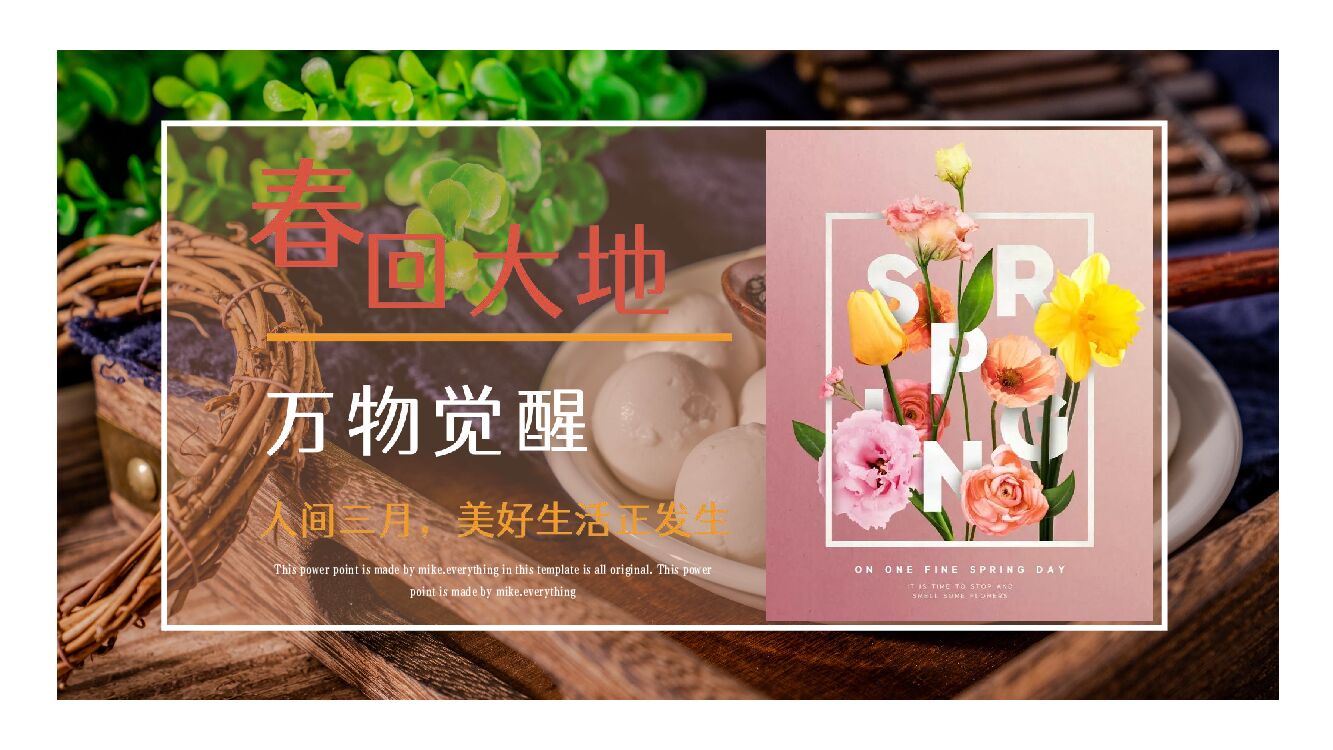 地产项目（春回大地 万物觉醒主题）春季氛围包装及三月系列暖场活动策划方案