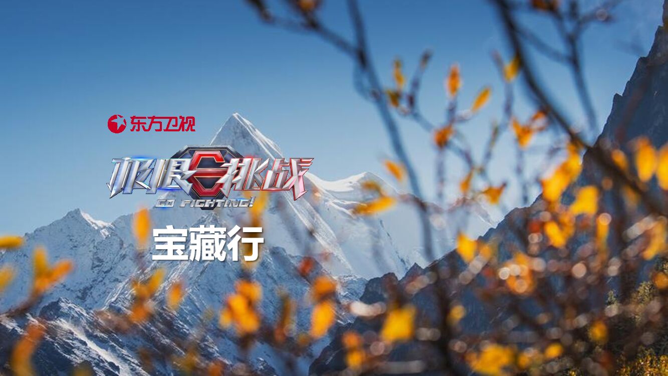 《极限挑战·宝藏行》合作方案