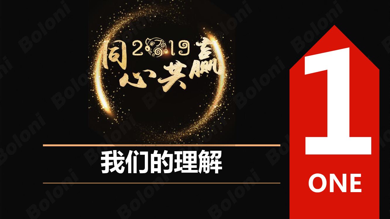 Boloni博洛尼年会方案_第2页