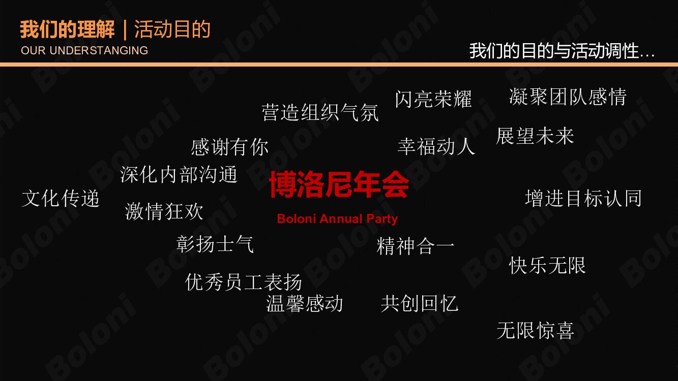 Boloni博洛尼年会方案_第3页