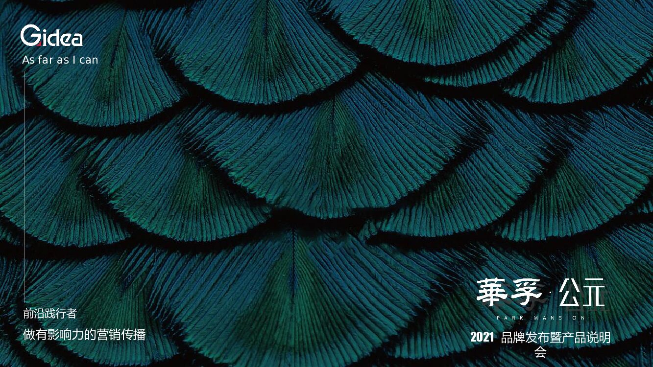 地产项目品牌发布暨产品说明会（新公园 新公元主题）活动策划方案