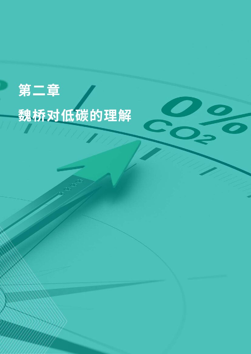 魏桥创业集团碳中和目标及行动报告_第6页