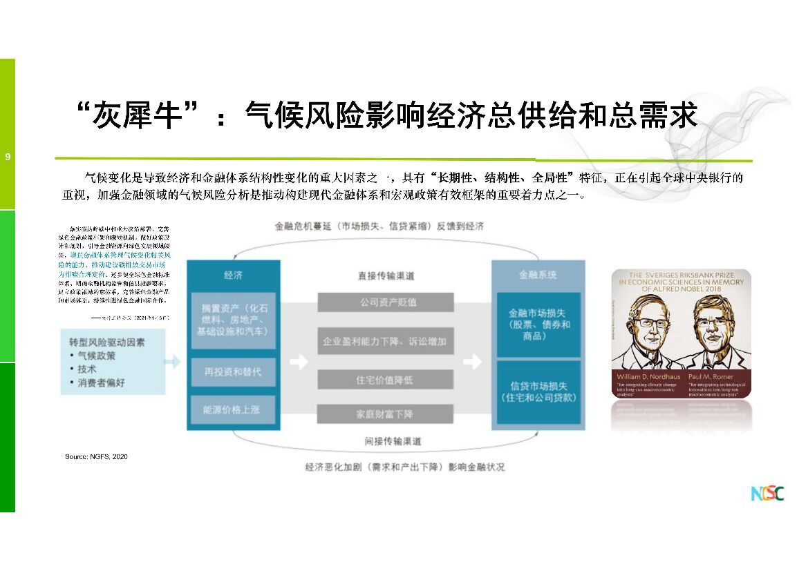 柴麒敏：我国碳达峰碳中和战略及能源相关政策展望_第9页