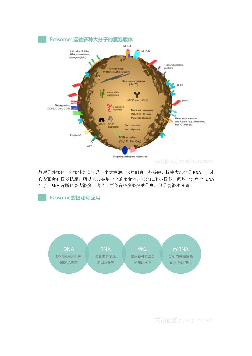 开源项目 OpenGene 发起人：用“互联网+基因技术”改变肿瘤的诊断与治疗_第8页