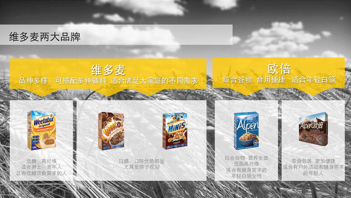 维多麦数字营销方案-媒体+预算部分_第2页