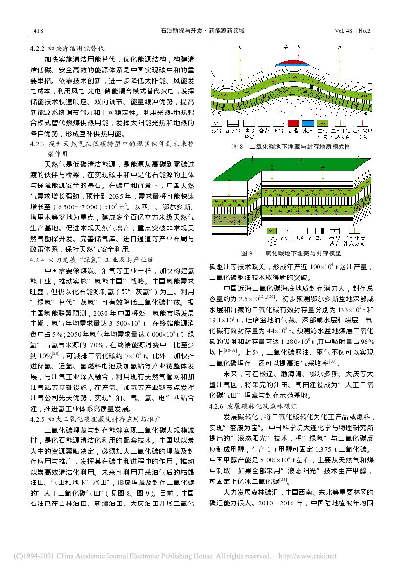 新能源在碳中和中的地位与作用_第8页
