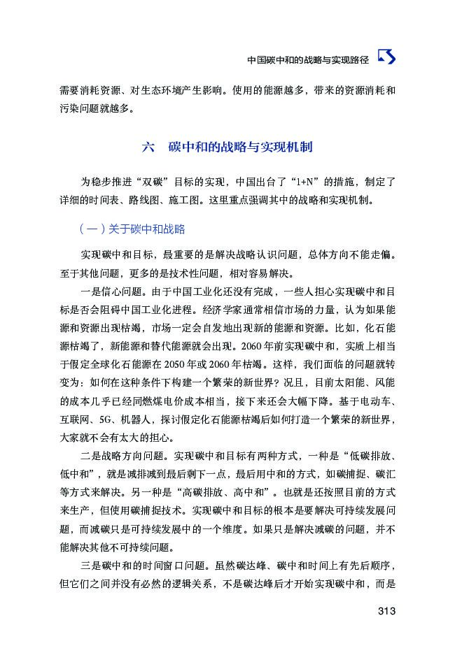 张永生：中国碳中和的战略与实现路径_第9页