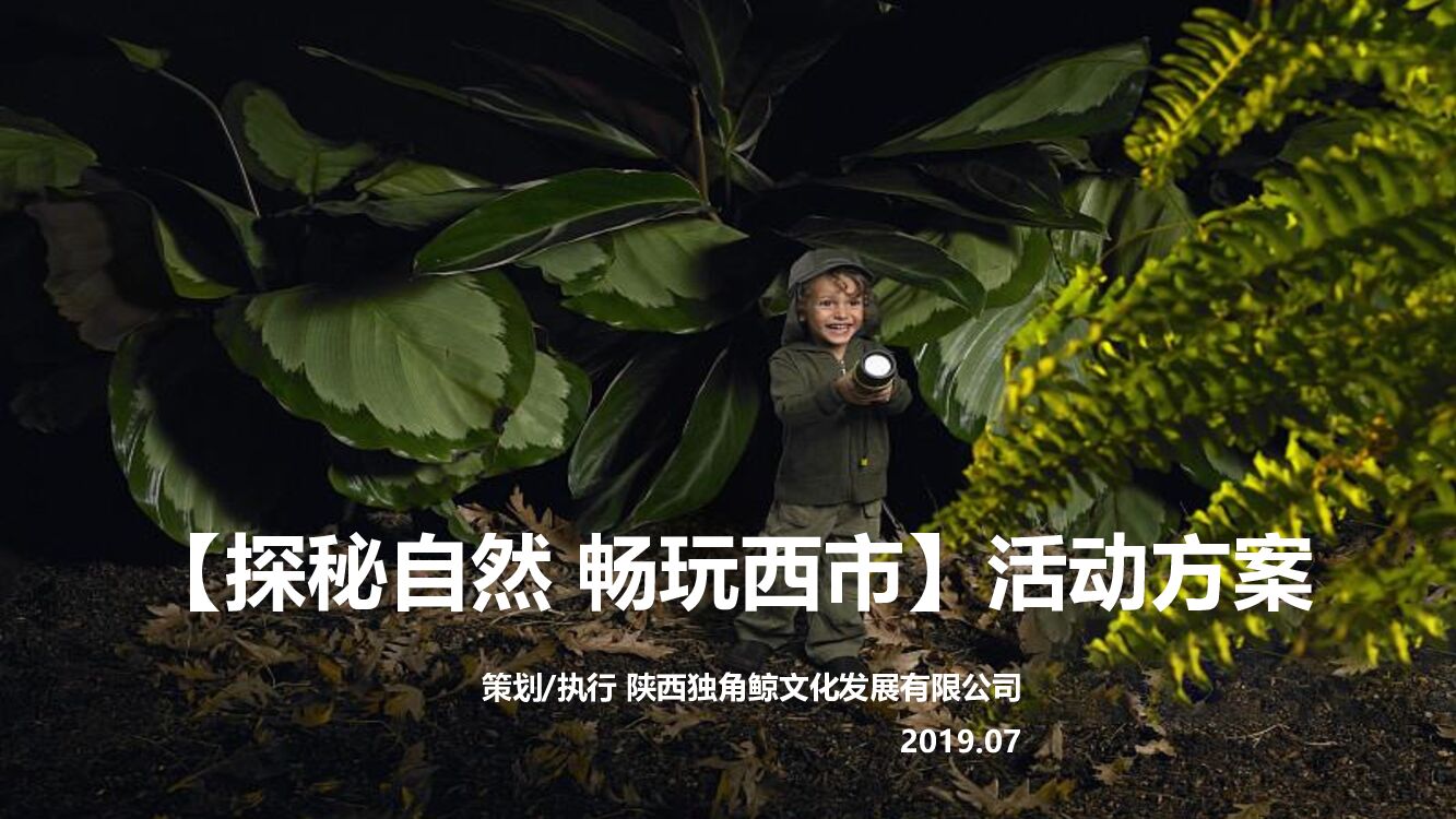 探秘自然动物世界活动方案