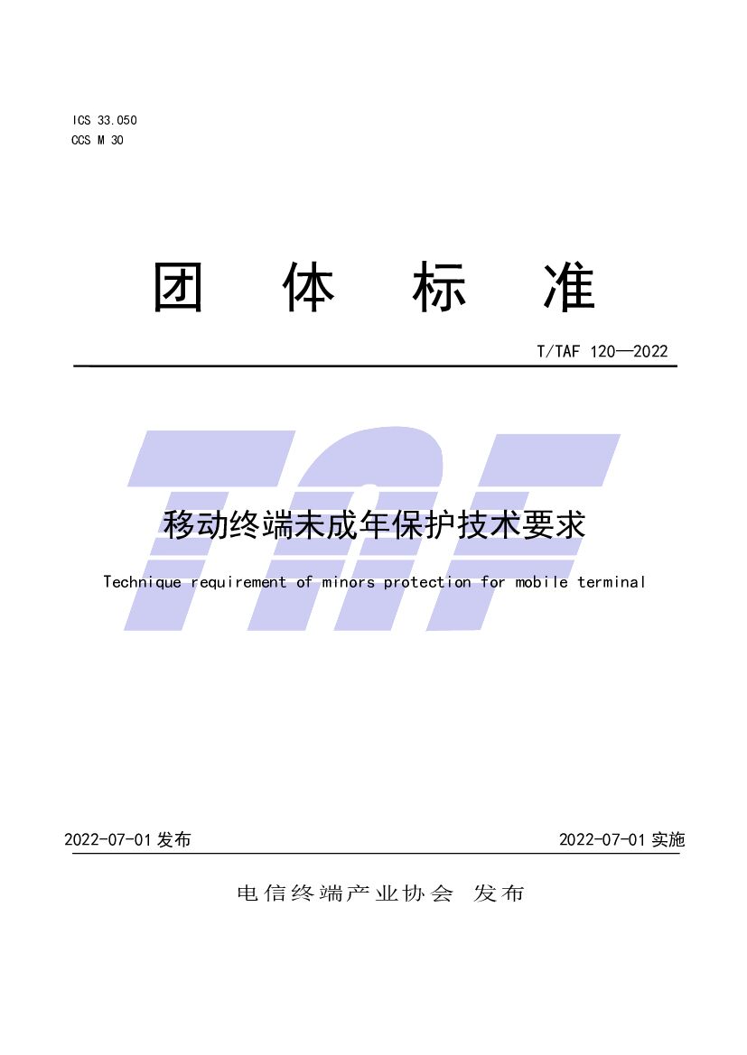 T/TAF 120-2022 标准预览