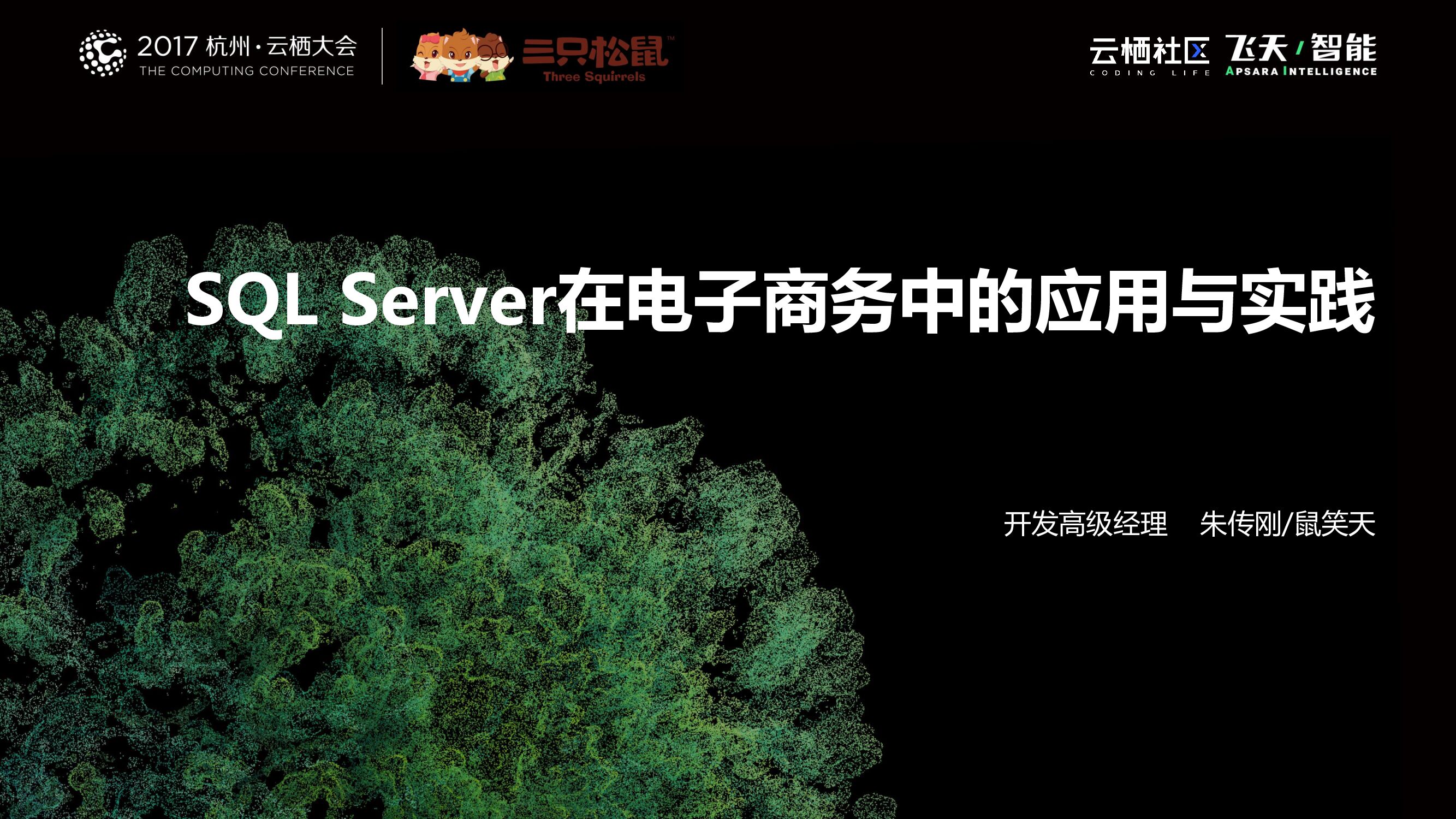 SQL Server在电子商务中的应用与实践