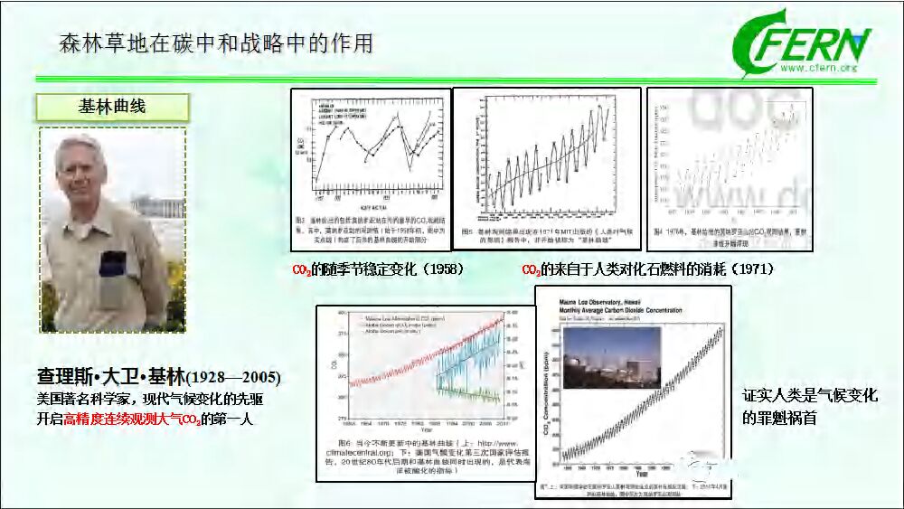 中国林业科学院：森林碳汇全口径 生态感知碳中和_第6页