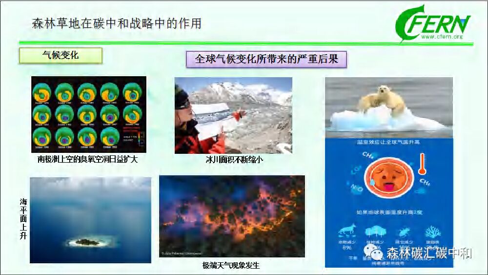 中国林业科学院：森林碳汇全口径 生态感知碳中和_第8页