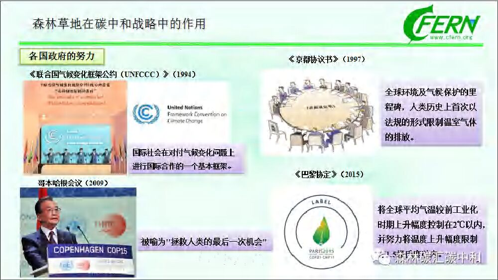 中国林业科学院：森林碳汇全口径 生态感知碳中和_第9页