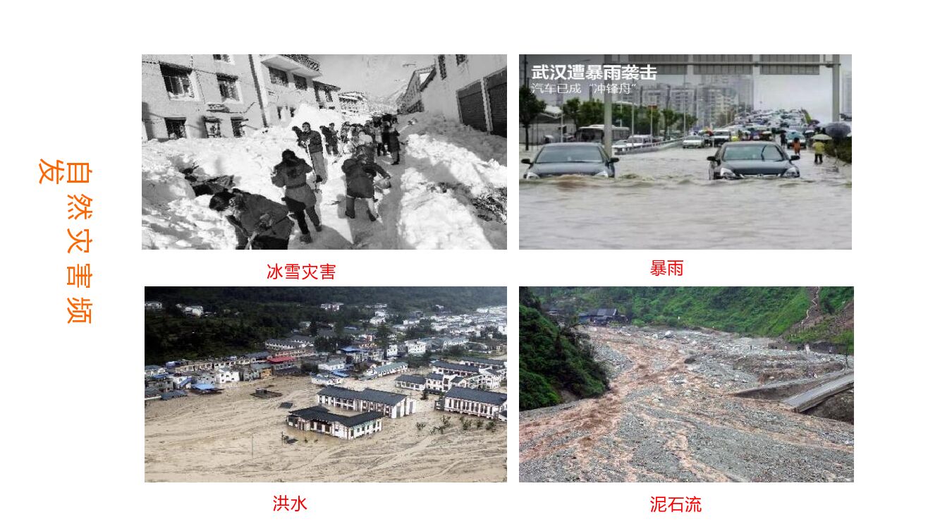 中国林科院：碳达峰碳中和背景下林业应对气候变化及林业碳汇项目开发_第8页