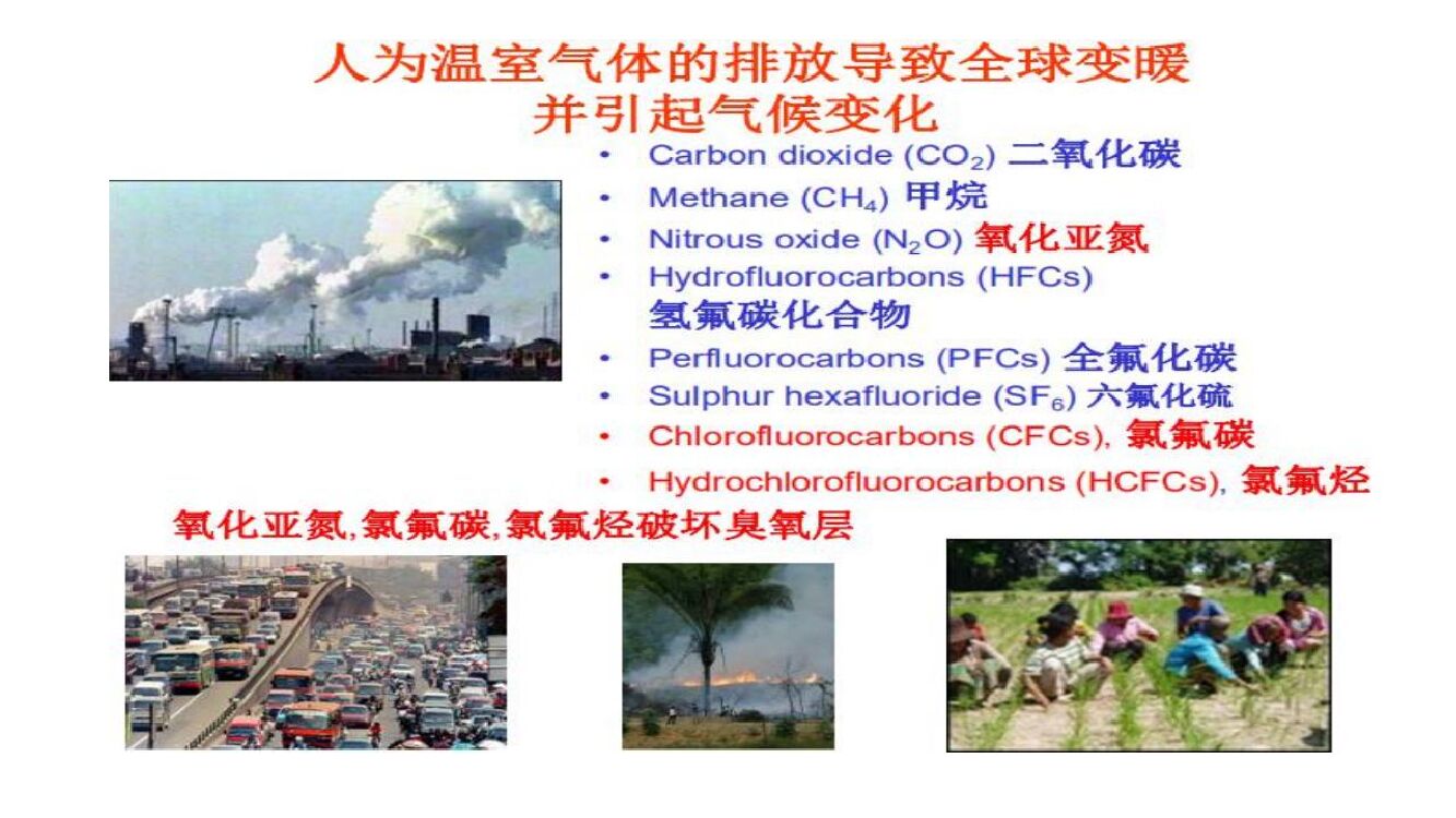 中国林科院：碳达峰碳中和背景下林业应对气候变化及林业碳汇项目开发_第9页