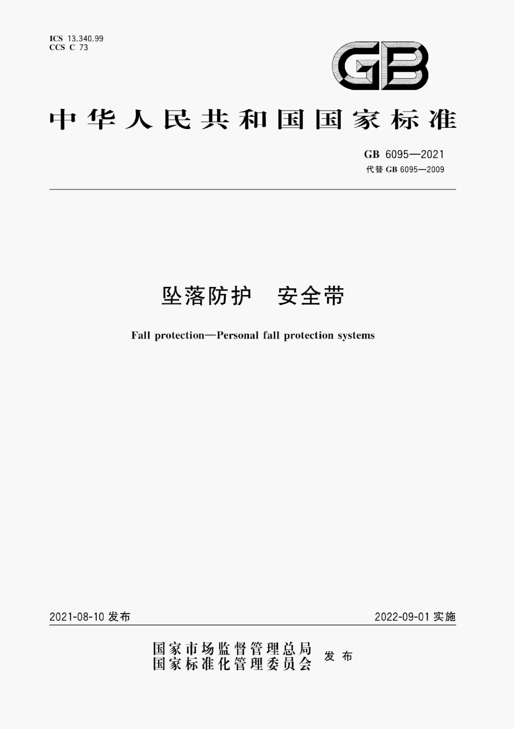 GB 6095-2021 标准预览
