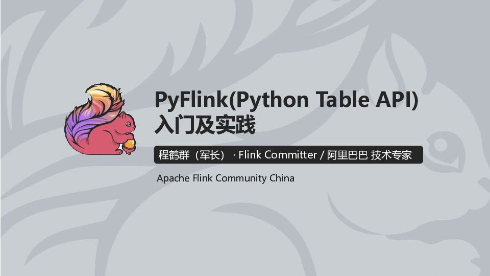 ACE 区域技术发展峰会：Flink Python Table API<em>入门</em>及实践 海报
