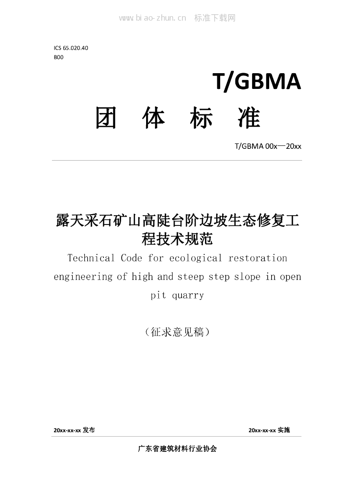 T/GBMA 001-2020 标准预览